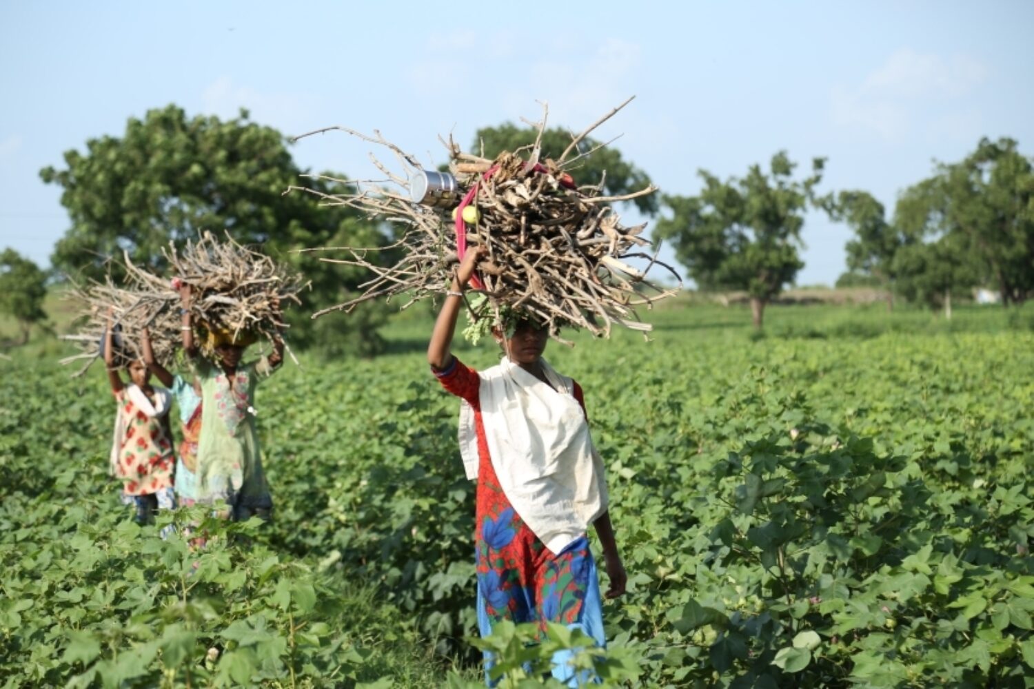 Women With Firewood By Gyan Shahane Unsplash