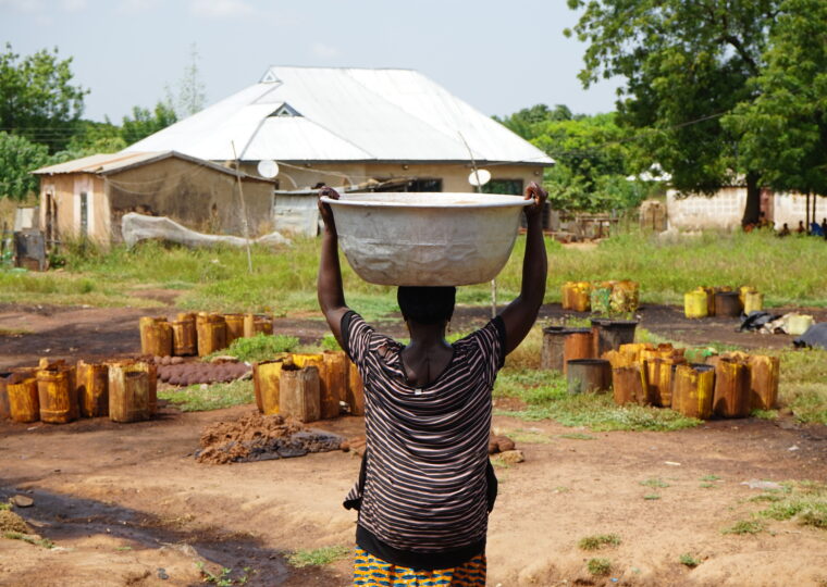 Help Support the Vital Work of BDL